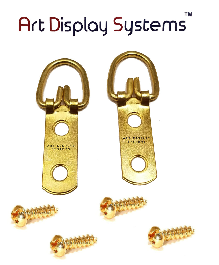 Art Display Systems 2 Hole Narrow BP D-Ring Hanger with 6 1/2 Screws – Pro Quality – 100 Pack - ART DISPLAY SYSTEMS